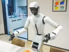 全国首个家庭通用机器人在武汉发布:能陪老人聊天、叠衣服、做饭、收拾餐桌