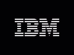 IBM 印度负责人帕特尔:年轻人口将成为印度参与全球 AI 竞争的重要优势