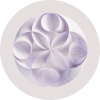 IBM Watsonx.ai: 企业级AI平台的新突破