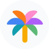 谷歌PaLM 2: 推动AI技术边界的多语言和编程自动化功能