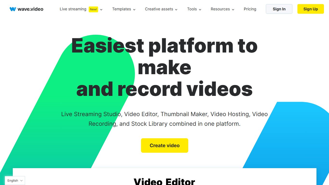 Wave.Video 官网截图